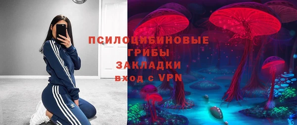 a pvp Осинники