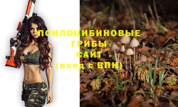 a pvp Осинники
