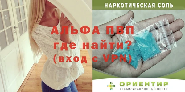 гашик Няндома