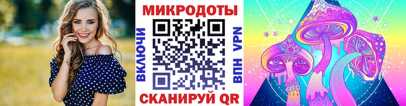 Псилоцибиновые грибы Psilocybe  Кемь 