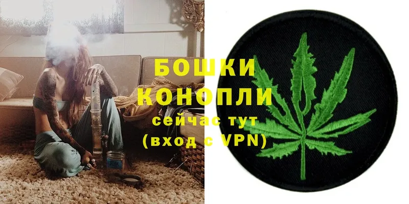 Бошки Шишки THC 21%  Кемь 